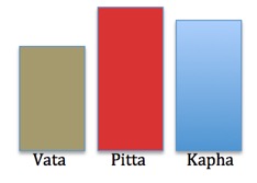 Constitution-ayurveda-ayurvedique