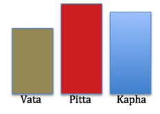 Constitution-ayurveda-ayurvedique