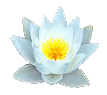lotus ayurveda alsace